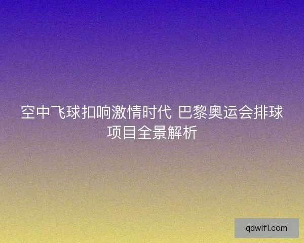 空中飞球扣响激情时代 巴黎奥运会排球项目全景解析